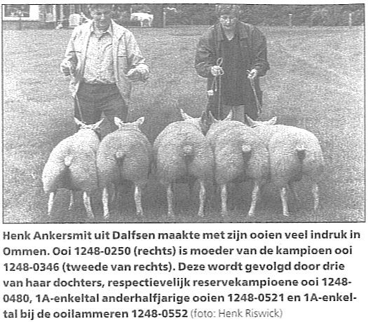 1248-250 afstammingsgroep