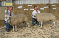 2008: Nationale Bunschoten