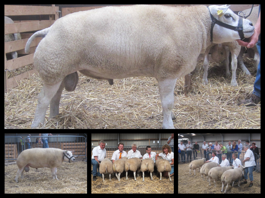 Foto's fokdag Ermelo