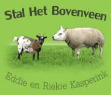 Stal Het Bovenveen