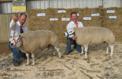          2008: Nationale Bunschoten
